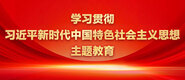操逼粉丝学习贯彻习近平新时代中国特色社会主义思想主题教育_fororder_ad-371X160(2)